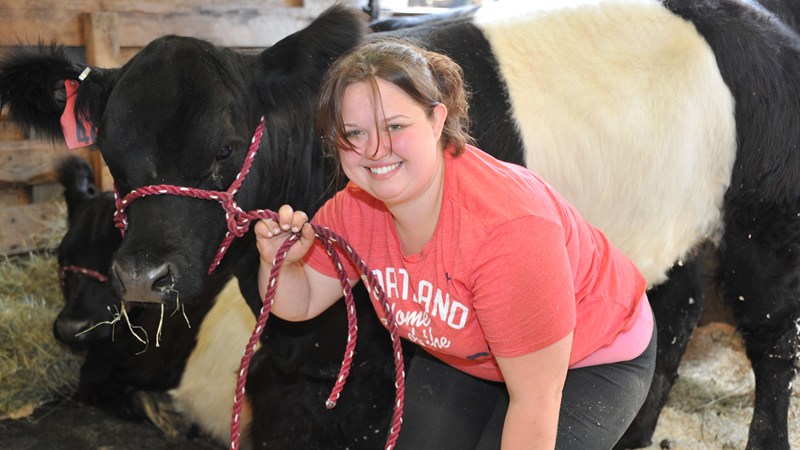 Hopkinton State Fair Beef Show