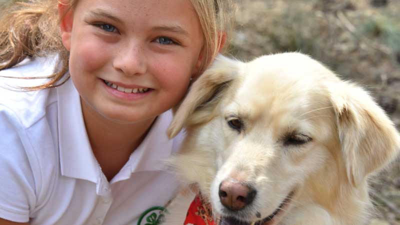Hopkinton State Fair Dog Show