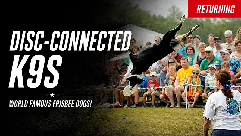 Disc Connected K9S Disc-Connected K9s