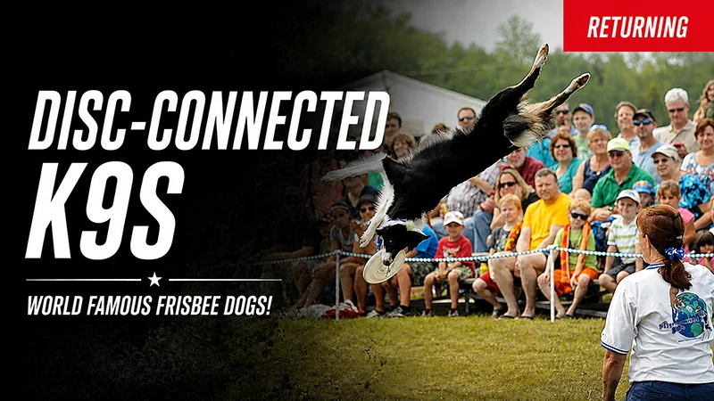 Disc-Connected K9s